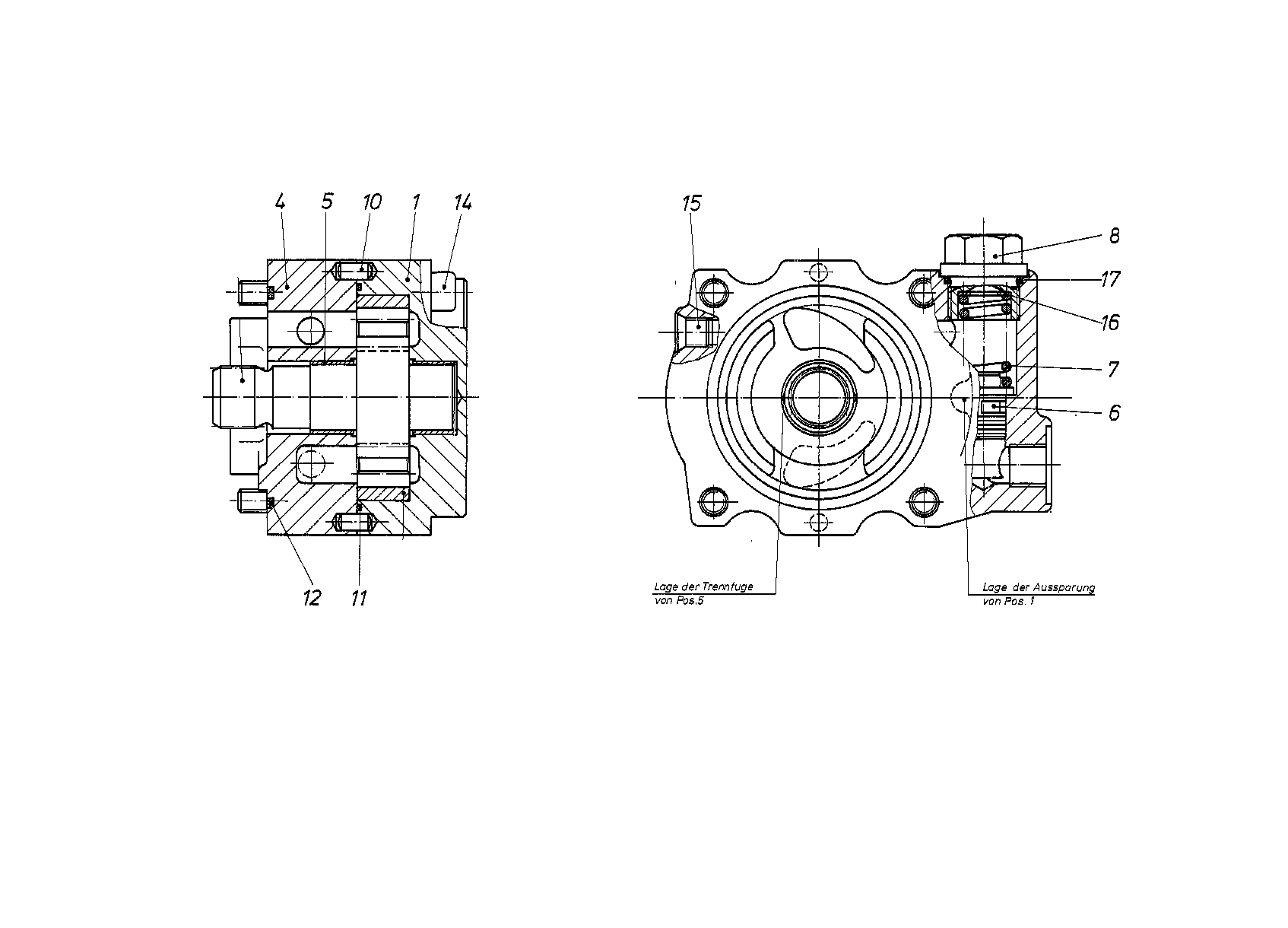 INTERNAL GEAR PUMP — Zeichnung